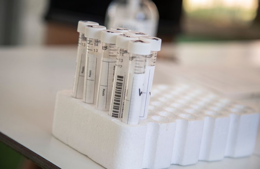 Orpesa se vuelca con la realización de PCR masivas y gratuitas a jóvenes