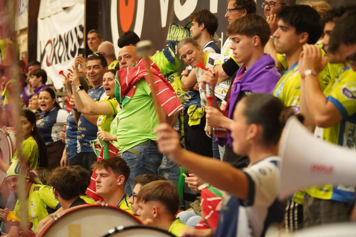 El Balonmano Caja Rural Zamora ya es "Plata": Las imágenes del ascenso