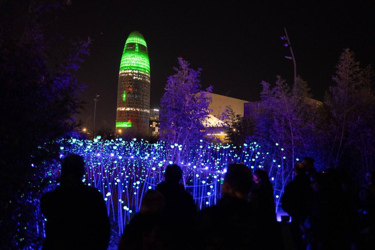 El festival Llum BCN vuelve a iluminar Barcelona