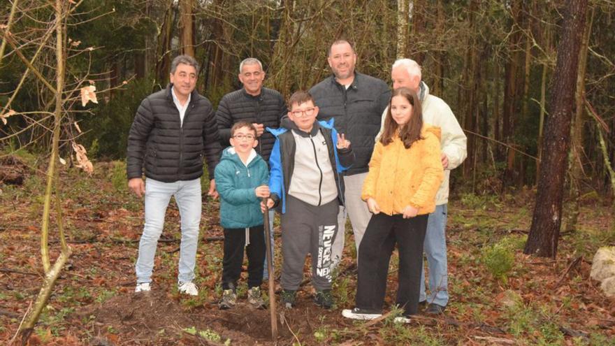 Comuneros de todas las edades prepararon esta semana el terreno para la plantación de 60 castaños.   | // CEDIDA