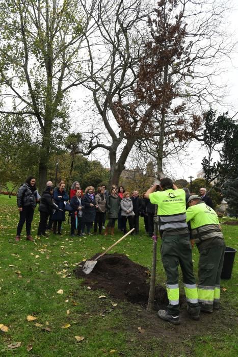 Las entidades que conforman la Plataforma Coruñesa de Voluntariado constan con un árbol que recuerda su labor a favor de la inclusión que realizan.