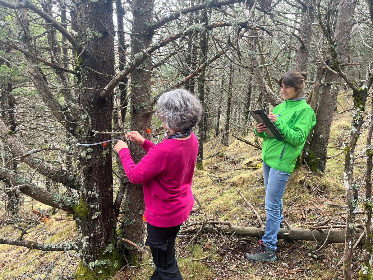 Tània Giró, ingeniera forestal, del Departament d'Acció Climàtica y Maria González, investigadora del CTFC.