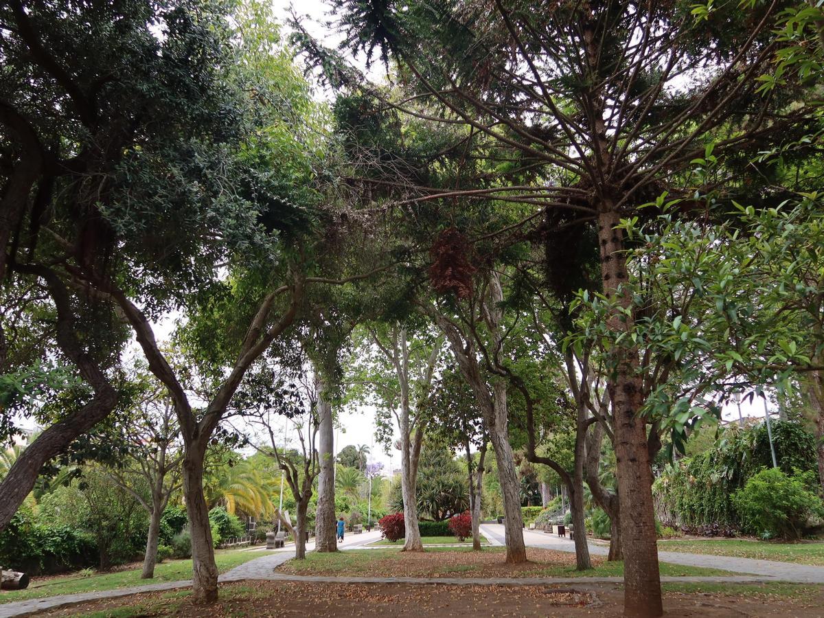 Parque de las Flores de Arucas.
