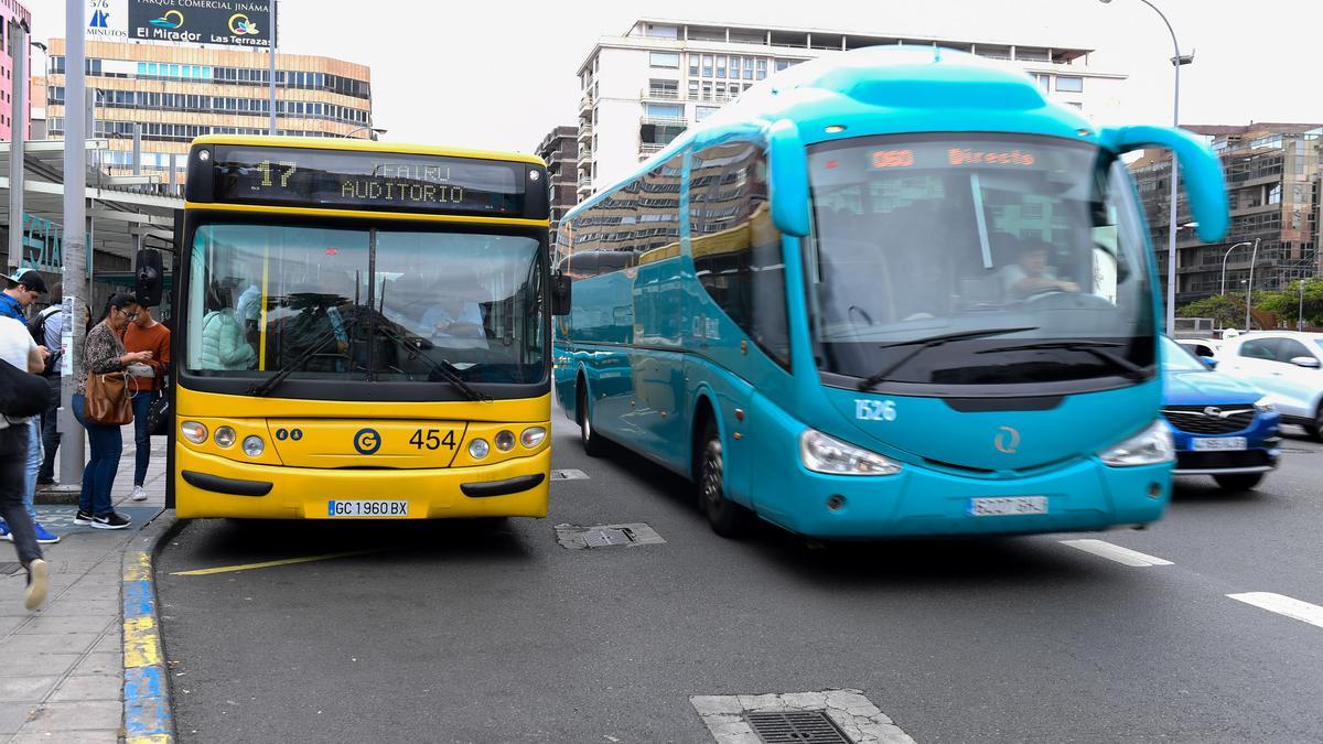 Vehículos de transporte público de las empresas Guaguas Municipales y Global.