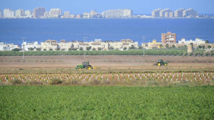 El 6% de las fincas agrarias concentra el 58% de las tierras de cultivo de la Región