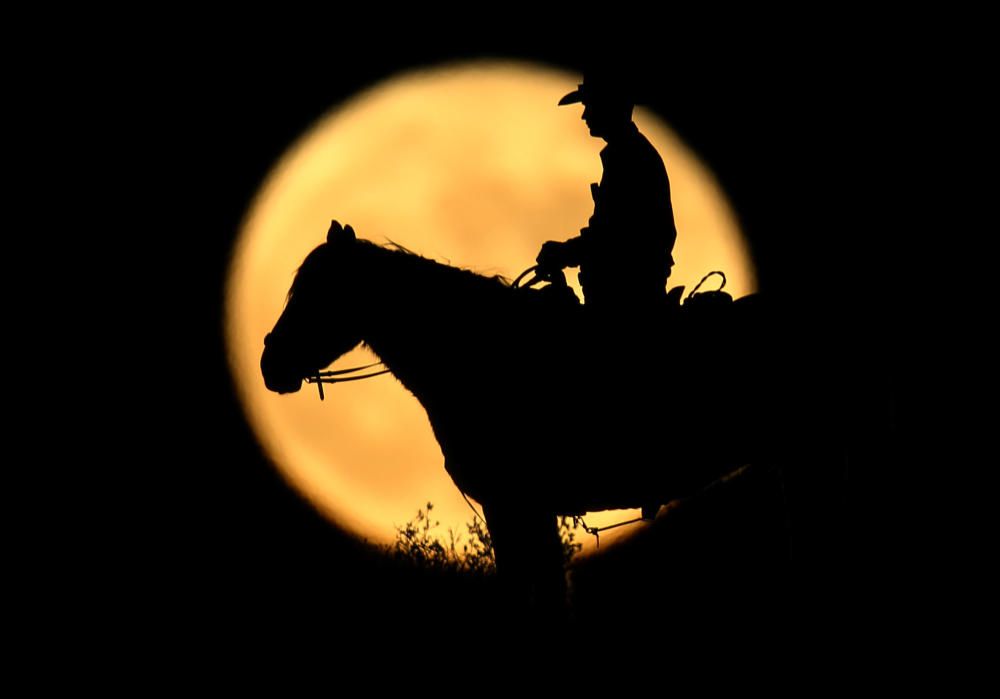 La luna llena recorta la silueta del agente fronterizo Josh Gehrich, en Jacumba, California.