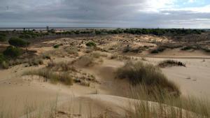 El declive de los humedales mediterráneos