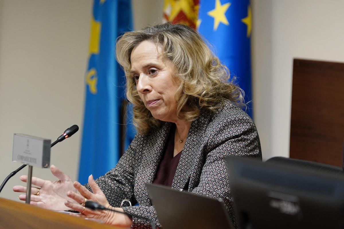 OVIEDO, 23/01/2026.- La comisión parlamentaria de investigación del accidente minero de Cerredo acoge la comparecencia de la exconsejera Belarmina Díaz, quien dimitió tras el siniestro que le costó la vida a cinco trabajadores el pasado 31 de marzo. EFE/Paco Paredes