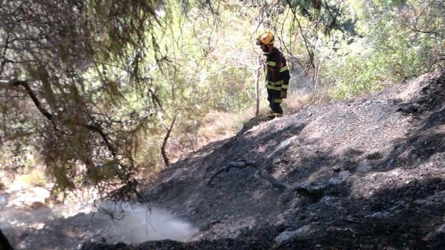 Extinguido el incendio en una zona boscosa de la cala Portitxol en Xàbia