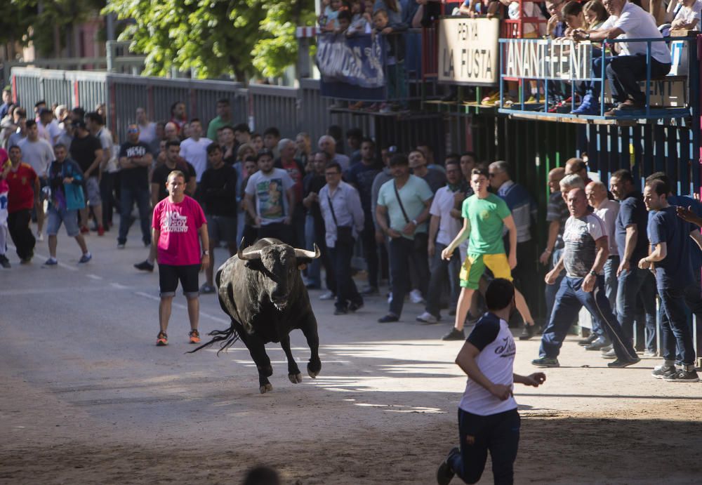 Toros y homenaje a la Tercera Edad en las fiestas de Vila-real