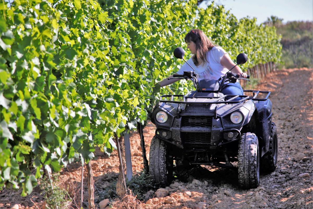 50 Viticultores del Penedès