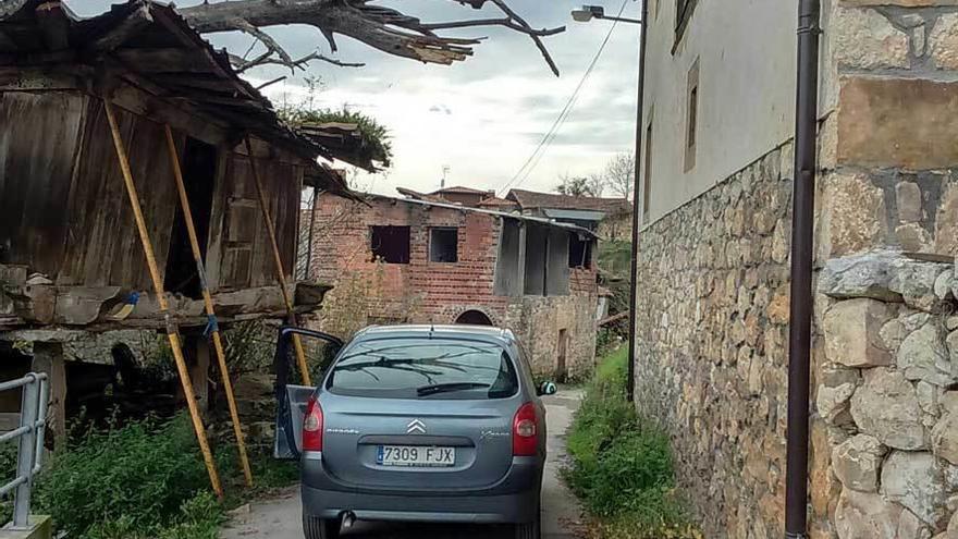 Un árbol corta un camino desde hace un mes en Beceña