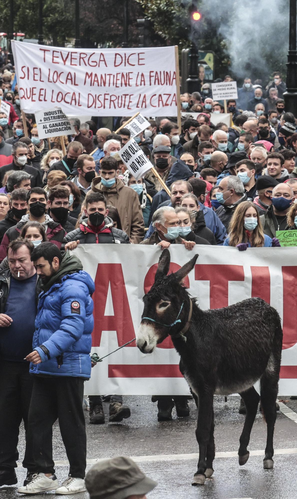 Tractorada en Oviedo de los trabajadores del campo asturiano: "No podemos más"