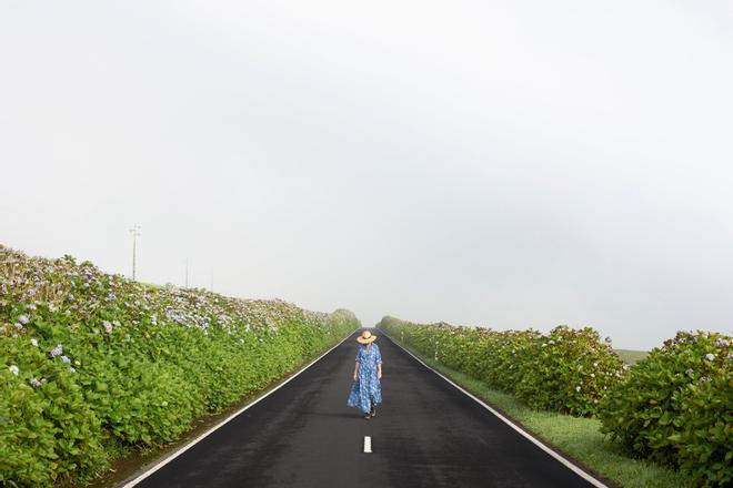 Carretera en isla Sao Jorge (Islas Azores)