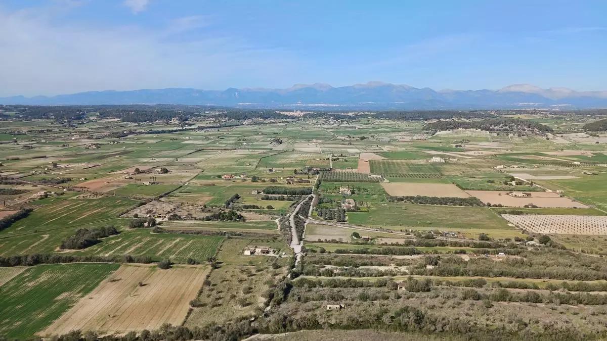 Vista de varias parcelas con fincas rústicas en la zona del Pla de Mallorca.