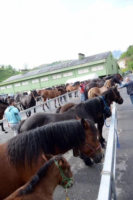 Feria del caballo de Riosa