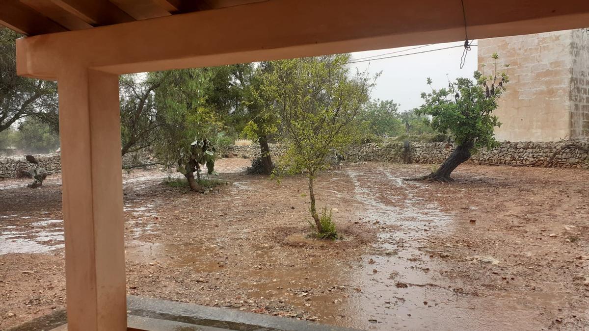 Alerta naranja en Mallorca: la lluvia llega a la isla y se esperan 50 litros por metro cuadrado en una hora