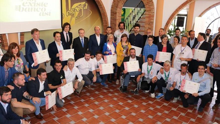 El voleibol de Ribera del Fresno, reconocido con el Premio Espiga