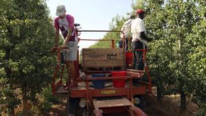 La regularització d’immigrants mitiga la destrucció d’ocupació a l’acabar l’agost