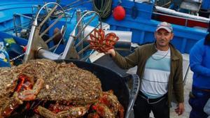 El marisc gallec s’encareix un 33% per als àpats nadalencs