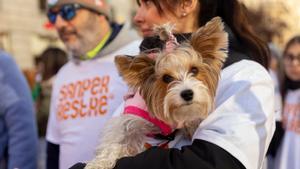 Un acto en Madrid contra el abandono y el maltrato animal.