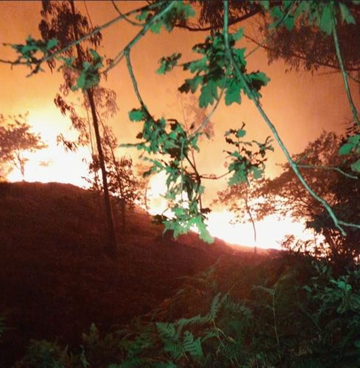 El fuego en el monte de Ermelo durante la madrugada del martes.