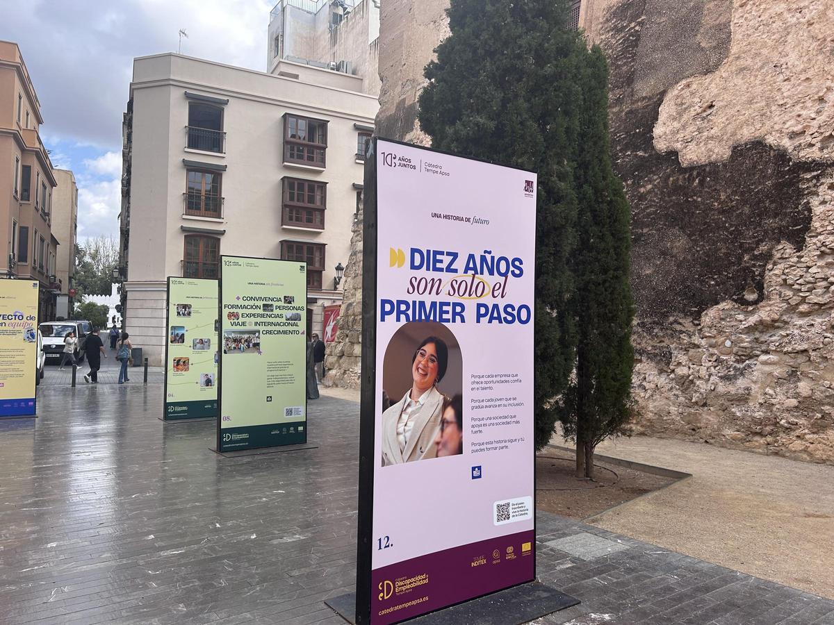 La exposición de los 10 años de la cátedra de la UMH de Elche está ubicada junto a la Calahorra