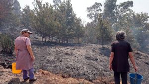 Les onades de calor li costen ja a Europa 43.000 milions