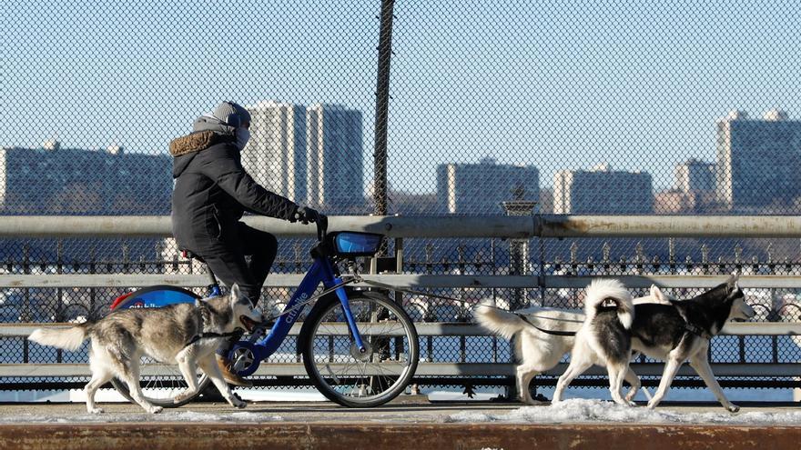 El perro husky que le contesta con un &quot;no&quot; a su dueña