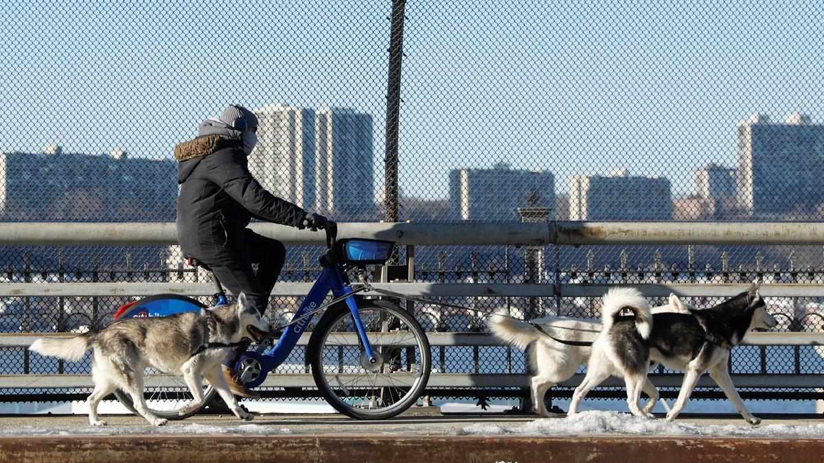 A person is pulled on their bicycle by husky dogs as they ride in front of the Hudson River during very cold weather in New York City