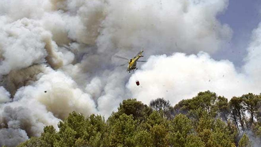 Piden 7 años y medio de cárcel al acusado del mayor incendio forestal de Balears