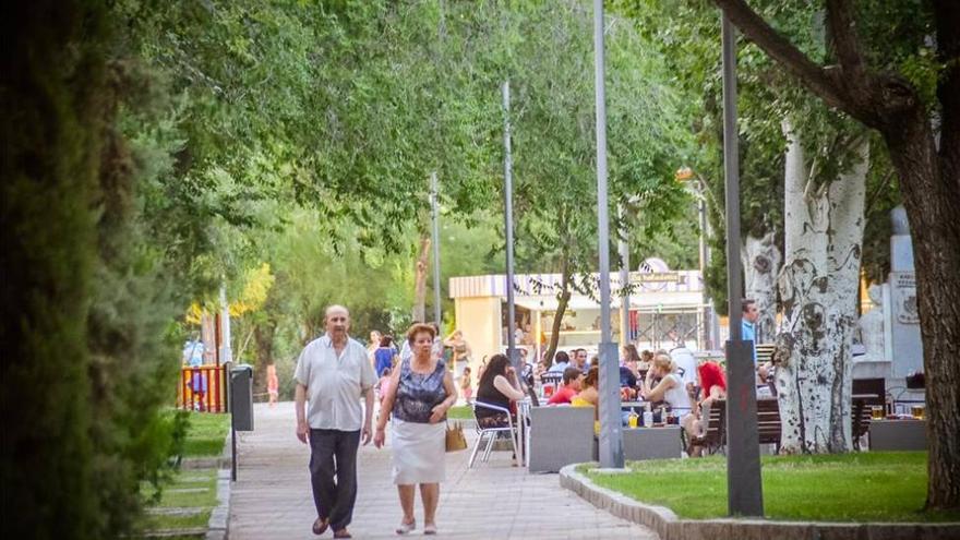 Técnicos evalúan el estado de algunos árboles