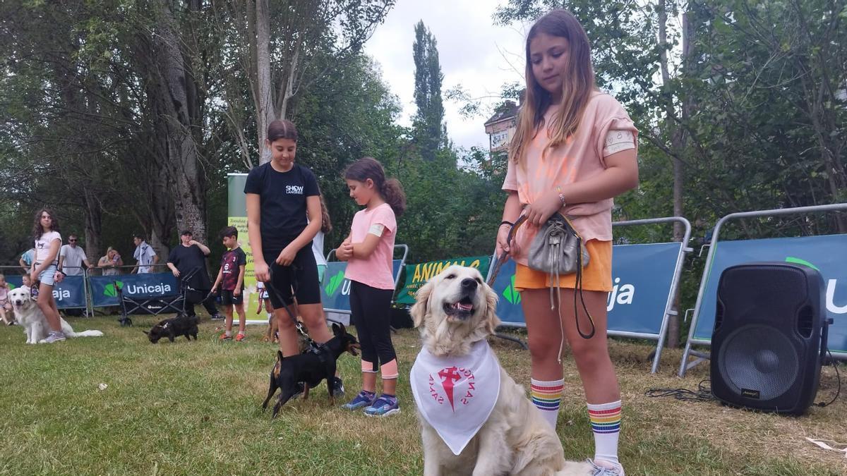 Unas niñas con varios perros en un concurso canino.