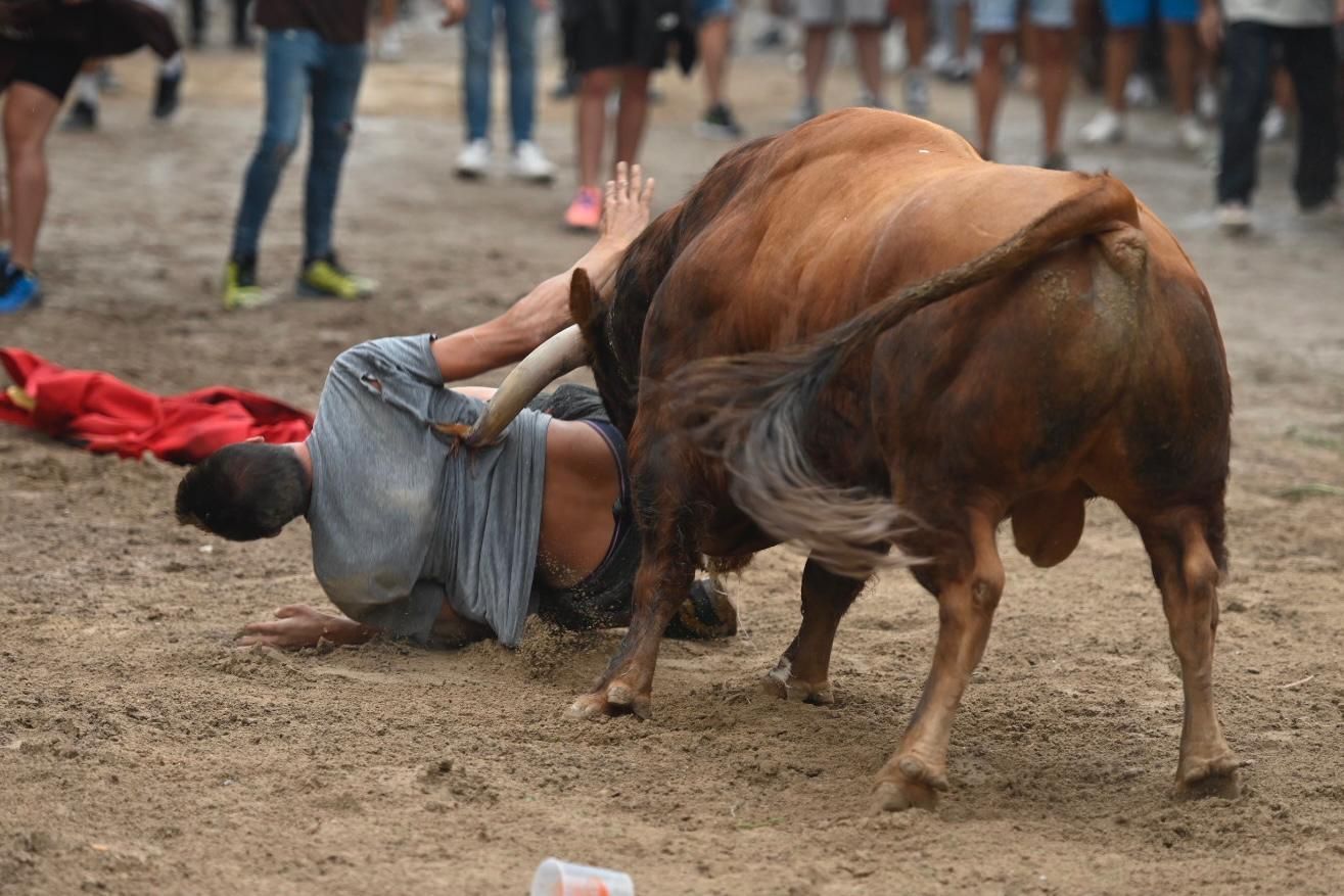 Las impactantes imágenes de la grave cogida de los "bous al carrer" de Vila-real