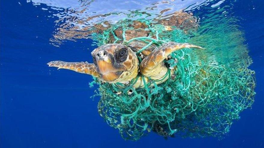 El planeta se enfrenta a un deterioro de la naturaleza sin precedentes