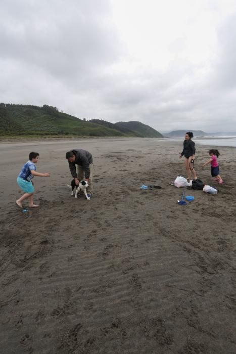 Los perros pueden acceder al playón de Bayas