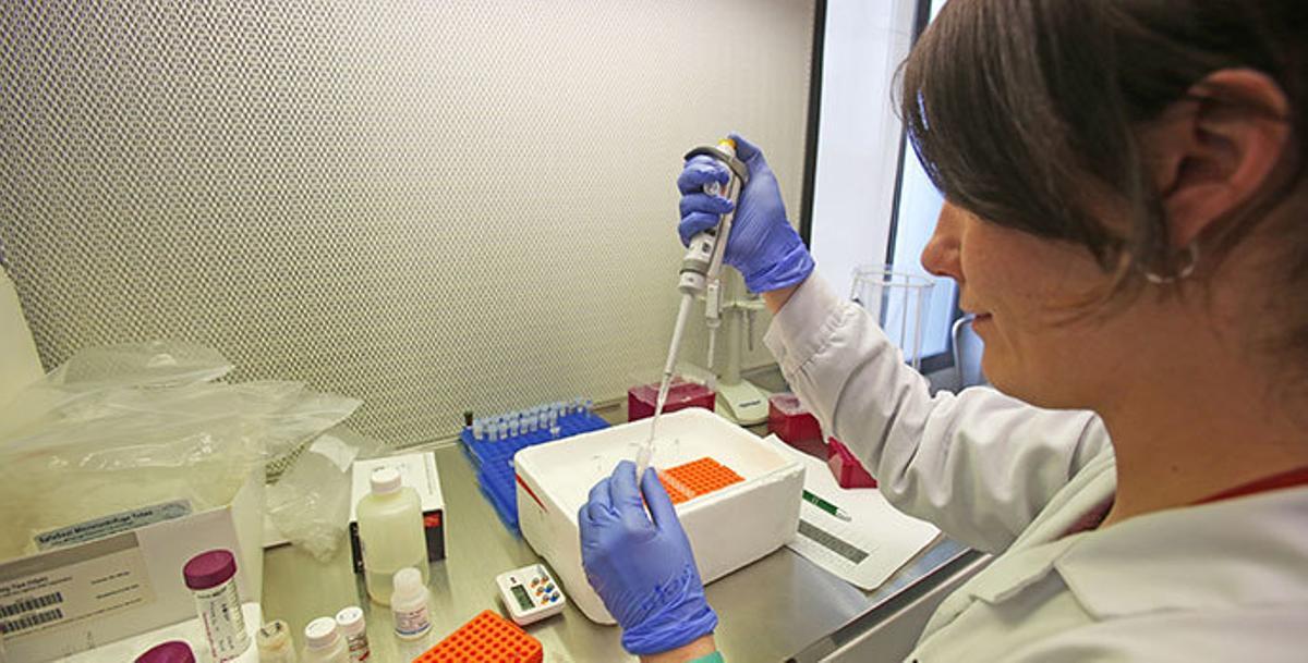 La UMH apuesta por hacer del campus de Sant Joan d´Alacant, un campus de vanguardia en la salud