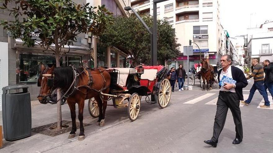 Un vecino pasa junto a una parada de coches de caballo en Marbella.