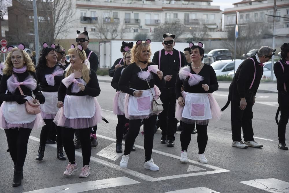 El Carnaval d''Artés en imatges