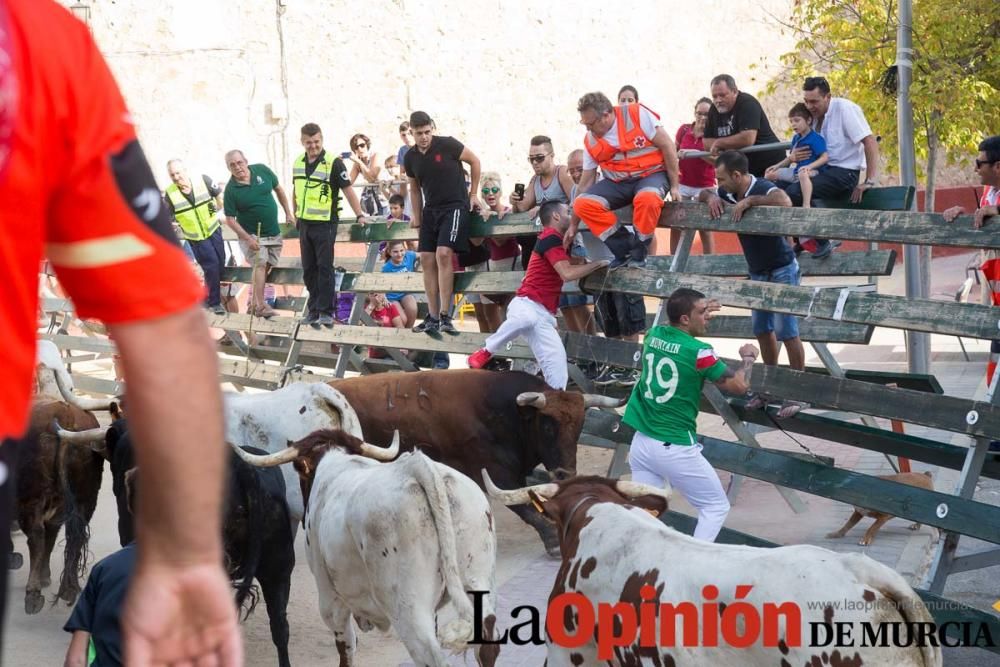 Tercer encierro en Calasparra