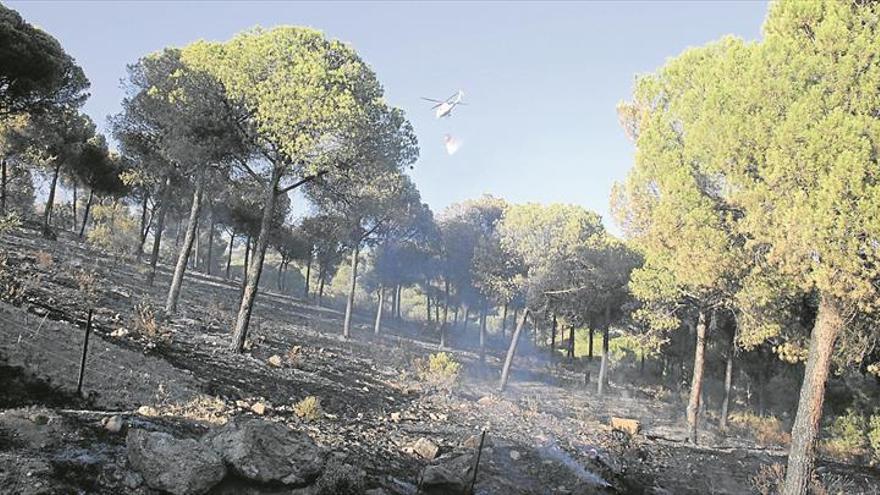 La ágil intervención del Infoca evita un desastre natural en la finca El Calvario