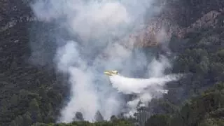 Alzira busca ser pionera en proteger del fuego a las urbanizaciones