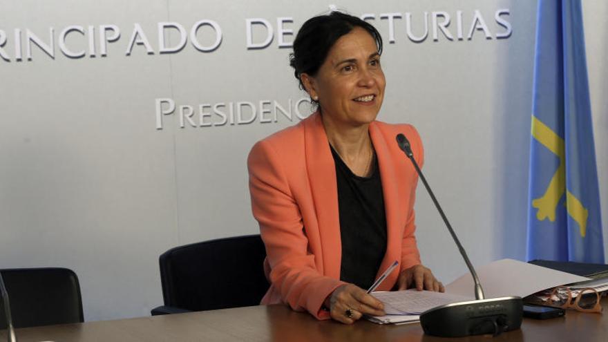 Dolores Carcedo, tras el Consejo de Gobierno de esta mañana.