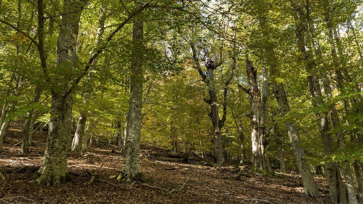 Sierra del Rincón: naturaleza protegida, arte escondido y pueblos con historia