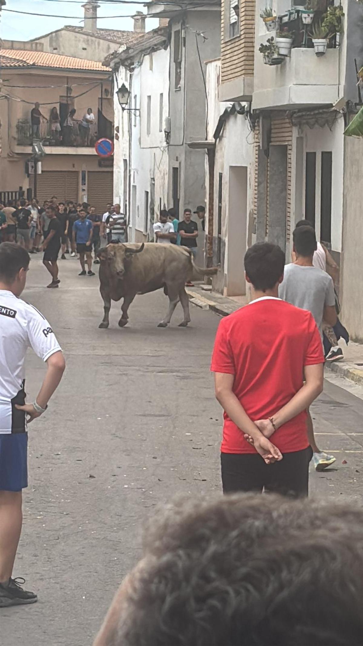 Actos taurinos en Benavites en una imagen de archivo.