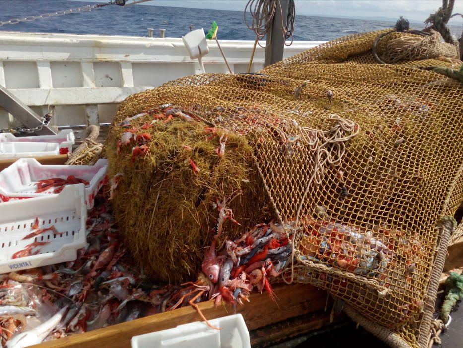 Fischer holen Strohballen aus dem Meer