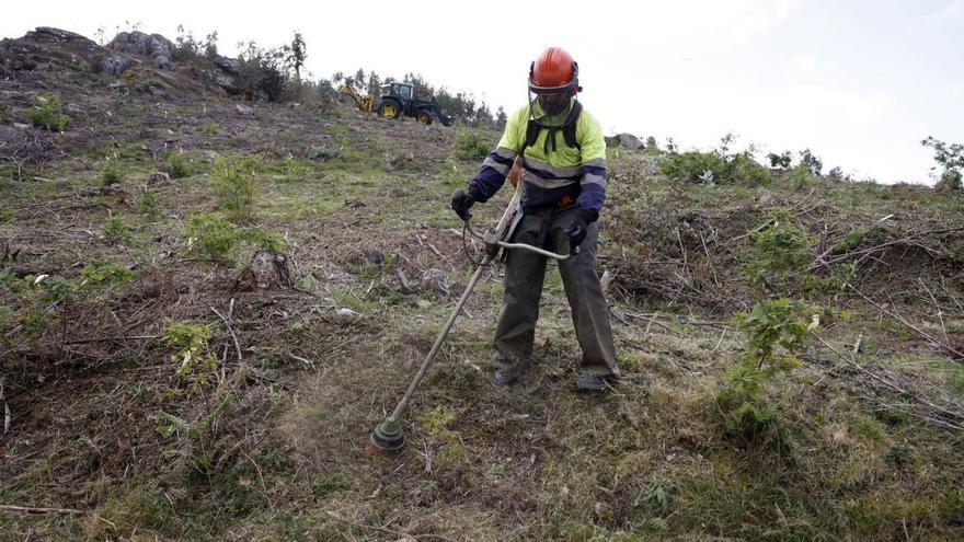 Cuenta atrás en la limpieza de los montes, con un suspenso de los particulares: “Nada ha cambiado”