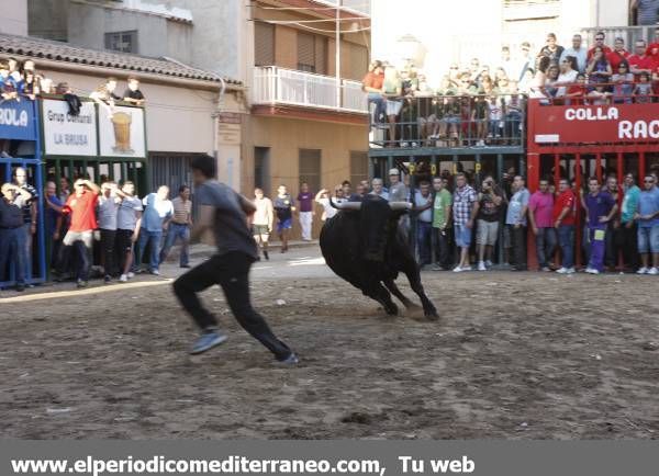 Almassora se vuelca con los actos taurinos