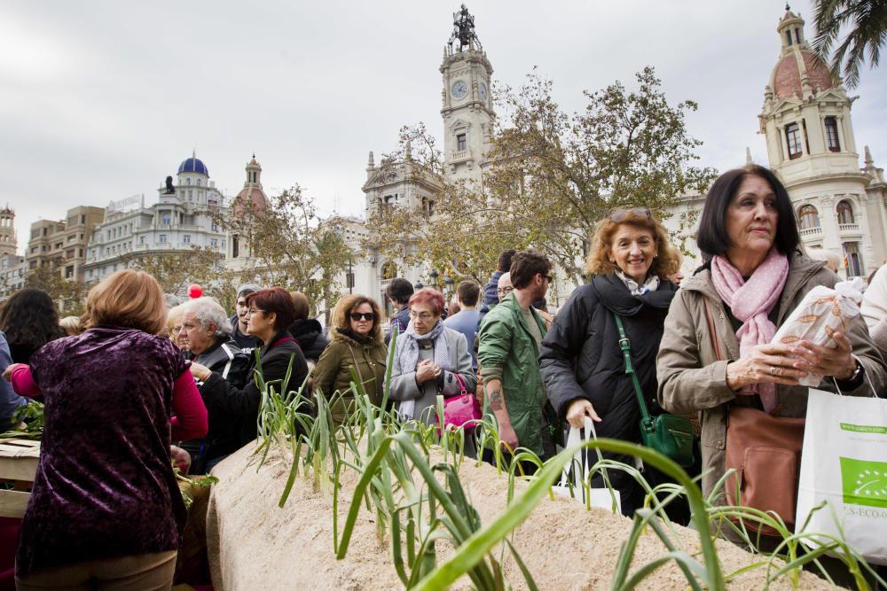 Mercado ecológico en la plaza del Ayuntamiento de Valencia