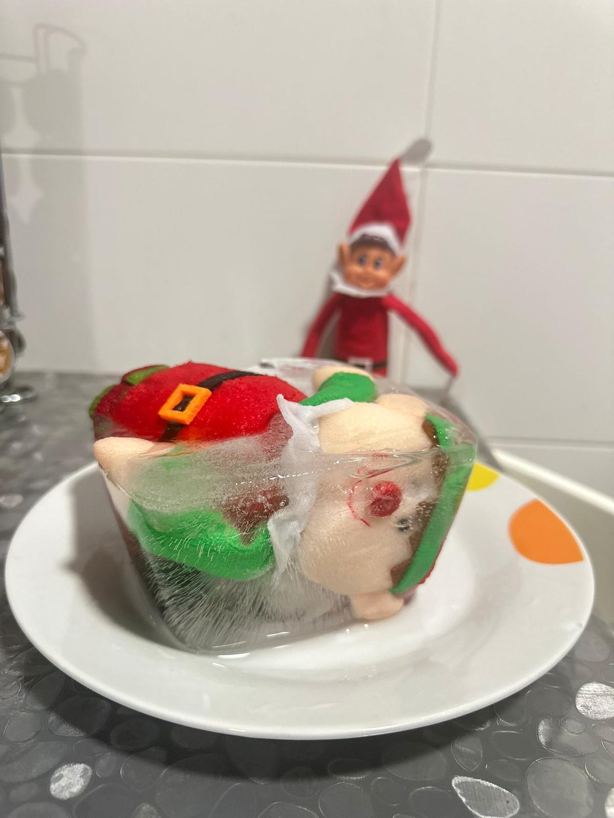 Un compañero congelado.